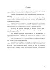 Vyriausybės vykdoma valstybinių institucijų kontrolė 13 puslapis