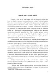 Vyriausybės vykdoma valstybinių institucijų kontrolė 3 puslapis