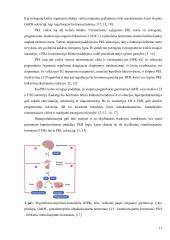 Hiperprolaktinemijos įtaka moters reprodukcinei sveikatai 10 puslapis