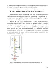 Hiperprolaktinemijos įtaka moters reprodukcinei sveikatai 12 puslapis