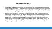 Socialinių paslaugų planas 9 puslapis