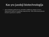 Juodoji biotechnologija 2 puslapis