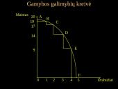 Mikroekonomika 14 puslapis