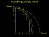Mikroekonomika 17 puslapis