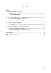 Raštas ir knyga antikos laikais