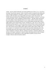 Raštas ir knyga antikos laikais 2 puslapis