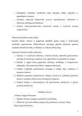 Vandenilio generatorius 4 puslapis