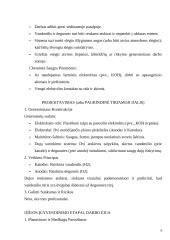 Vandenilio generatorius 5 puslapis