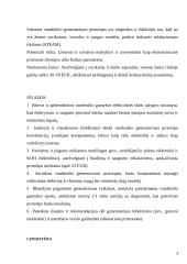 Vandenilio generatorius 7 puslapis