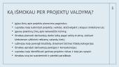 Pramogų parko modelio sukūrimas, siekiant didinti turizmą Lietuvoje 10 puslapis