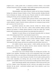 Žmogaus žvilgsnio ir rankos koordinacijos tyrimas 15 puslapis