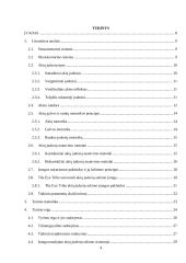 Žmogaus žvilgsnio ir rankos koordinacijos tyrimas 2 puslapis