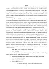 Žmogaus žvilgsnio ir rankos koordinacijos tyrimas 6 puslapis