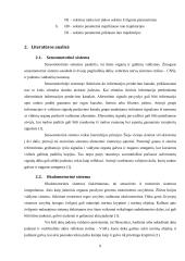 Žmogaus žvilgsnio ir rankos koordinacijos tyrimas 7 puslapis