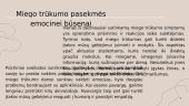 Kaip jauno žmogaus gyvenimo ritmas paveikia jo emocinę būseną? 7 puslapis