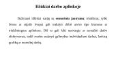 Neuroįvairovė vadyboje 10 puslapis