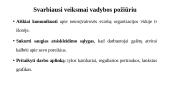 Neuroįvairovė vadyboje 13 puslapis
