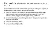 Verslo teisė. Verslo – ūkinė veikla 4 puslapis