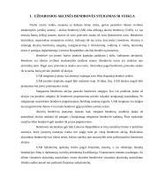 Uždaroji akcinė bendrovė kaip juridinis asmuo: steigimas ir veikla 3 puslapis