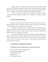 Uždaroji akcinė bendrovė kaip juridinis asmuo: steigimas ir veikla 8 puslapis