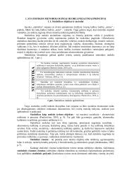 Statistikos metodologiniai ir organizaciniai principai