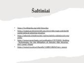 Miesto išplanavimas pavojingoje zonoje prie Vezuvijaus ugnikalnio 14 puslapis