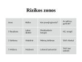 Miesto išplanavimas pavojingoje zonoje prie Vezuvijaus ugnikalnio 4 puslapis