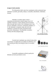 Kietojo kūno sukamojo judėjimo tyrimas (automobilių techninio eksplotavimo laboratorinis) 2 puslapis
