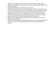 Filosofijos savarankiško darbo klausimai 3 puslapis