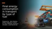 Final energy consumption in transport by type of fuel