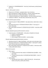 Raumenys 11 puslapis