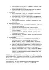 Raumenys 12 puslapis