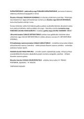 Raumenys 13 puslapis