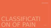 Pain: Understanding Its Nature and Impact 4 puslapis