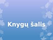 Skaidrės apie knygas