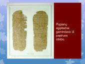 Skaidrės apie knygas 13 puslapis