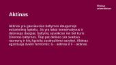 Aktinas 3 puslapis