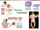 Vitaminai - pristatymas
