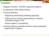 Vitaminai - pristatymas 2 puslapis