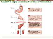 Vitaminai - pristatymas 12 puslapis