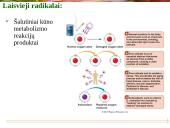 Vitaminai - pristatymas 20 puslapis