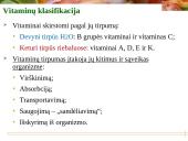 Vitaminai - pristatymas 6 puslapis