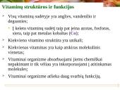 Vitaminai - pristatymas 7 puslapis