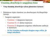 Vitaminai - pristatymas 9 puslapis