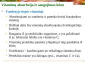 Vitaminai - pristatymas 10 puslapis