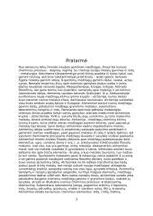 Žymiausi pasaulio alchemikai 2 puslapis