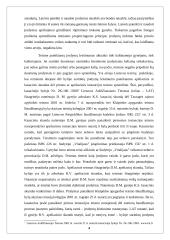 Absoliutus ir santykinis liudytojo imunitetas baudžiamajame procese 4 puslapis