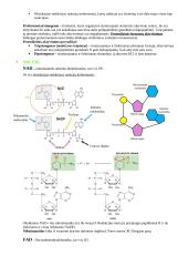 Baltymų ir fermentų santrauka 11 puslapis