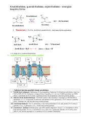 Baltymų ir fermentų santrauka 14 puslapis
