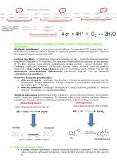 Baltymų ir fermentų santrauka 15 puslapis
